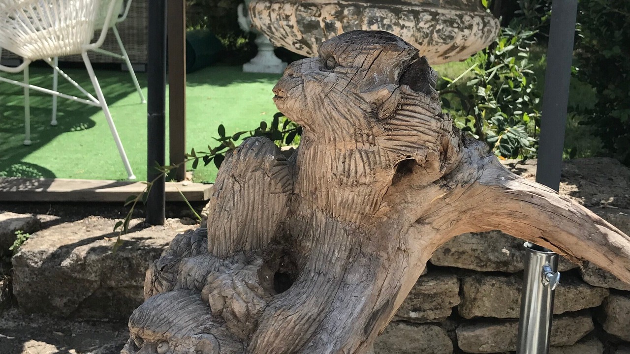 Photo of Outdoor in Carpentras