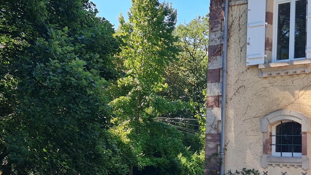 Photo of Outdoor in Breuches
