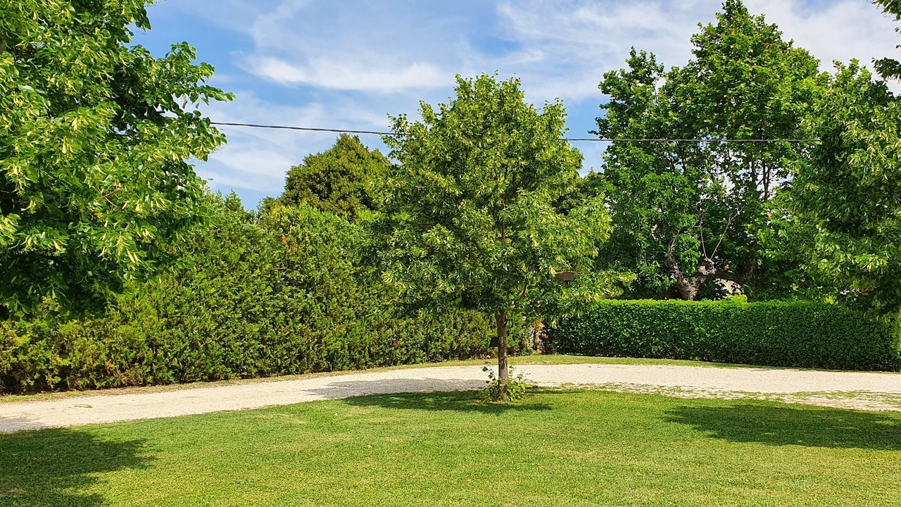 Photo of Outdoor in Chateauneuf-du-Rhone