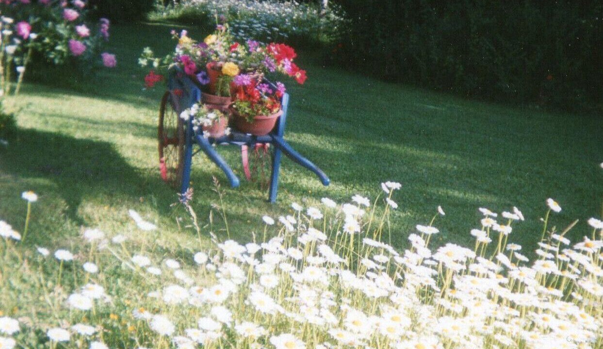 Photo of Others in Aingeville