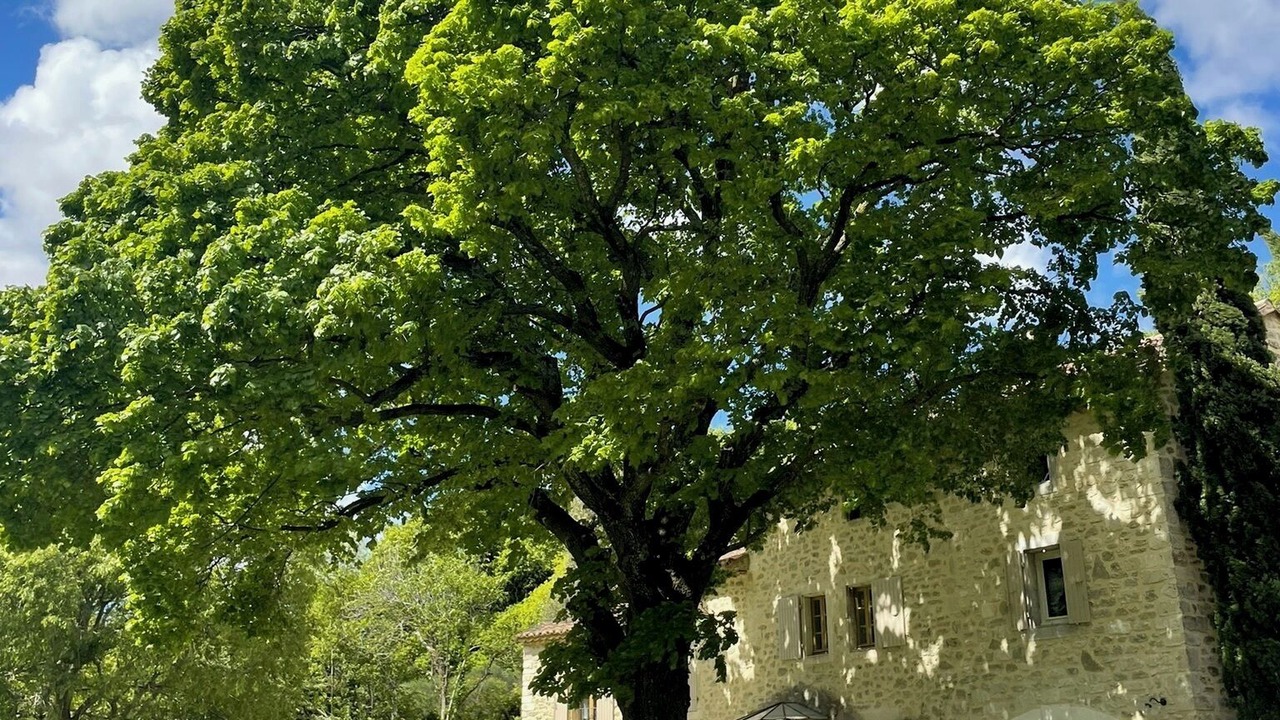Photo of Outdoor in Clansayes