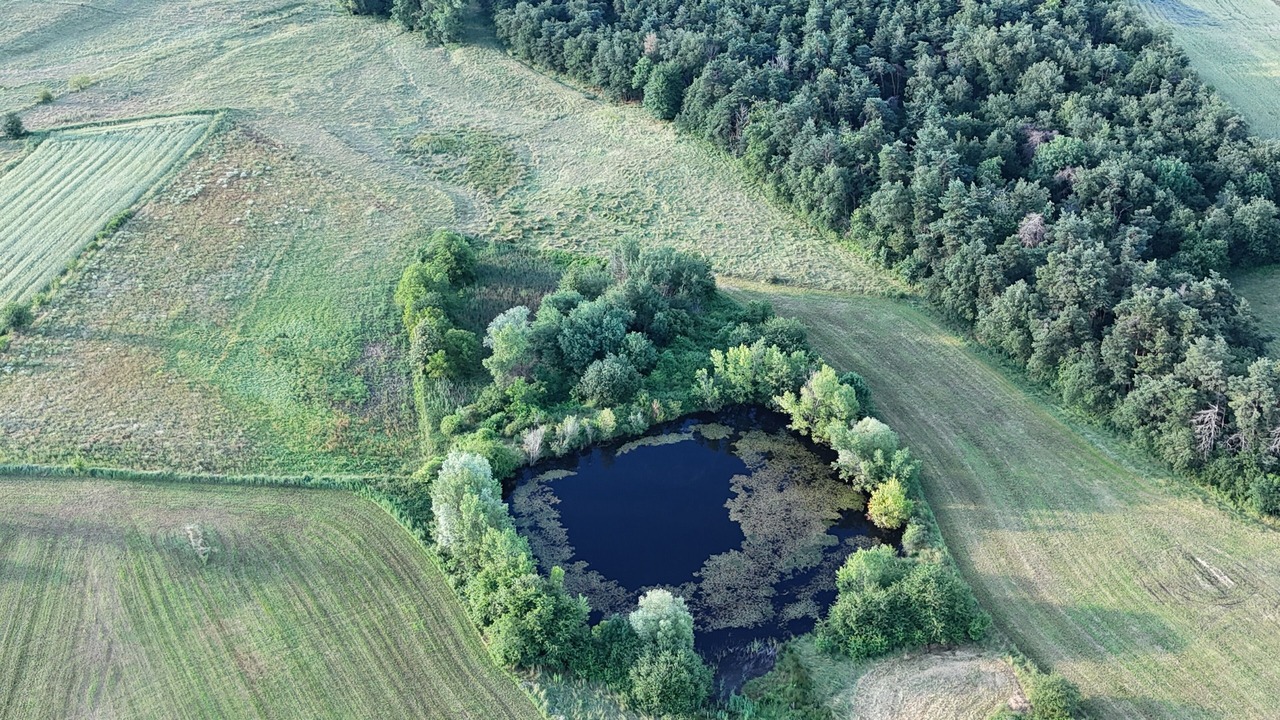 Photo of Outdoor in Saint-Barthelemy-le-Plain