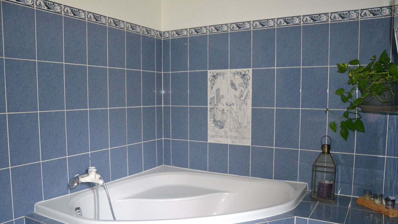 Photo of Bathroom in Cours