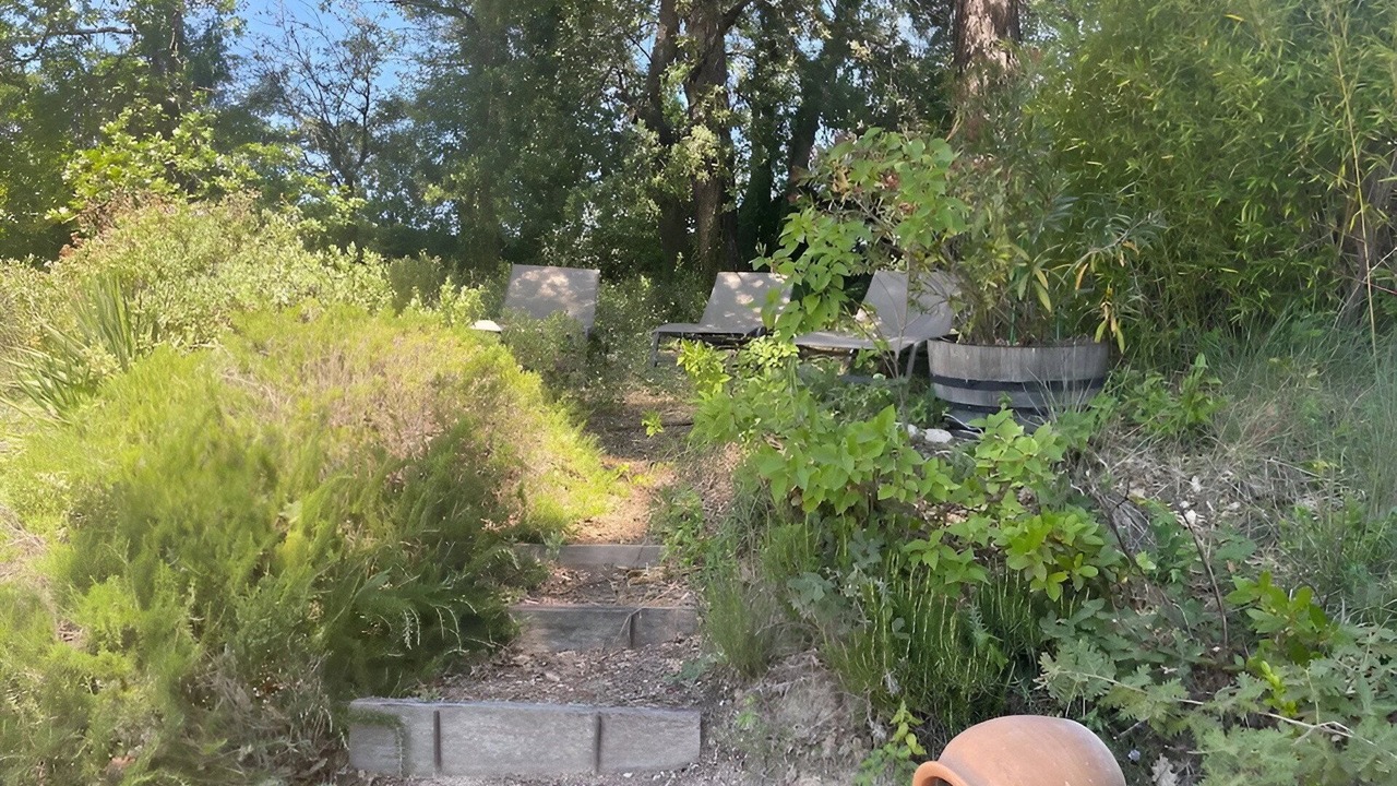 Photo of Outdoor in Buisson