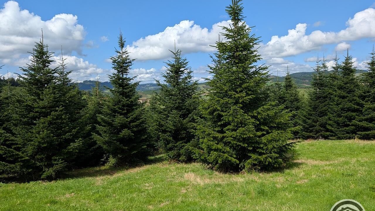Photo of Outdoor in Meaux-la-Montagne