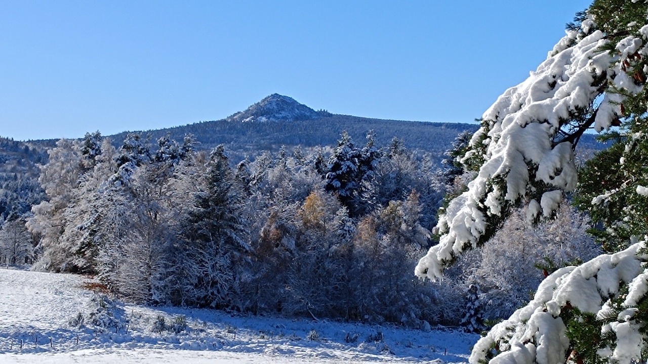 Photo of Others in Mazet-Saint-Voy