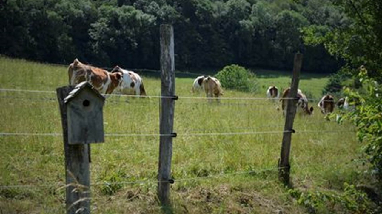 Photo of Others in Rosay