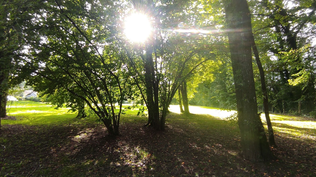 Photo of Outdoor in Saint-Etienne-en-Bresse