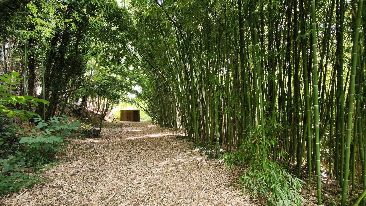Photo of Outdoor in Anneyron