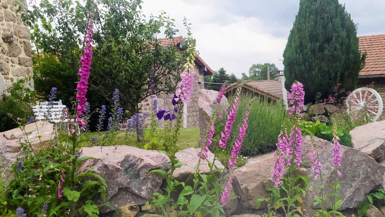 Photo of Outdoor in Saint-Romain