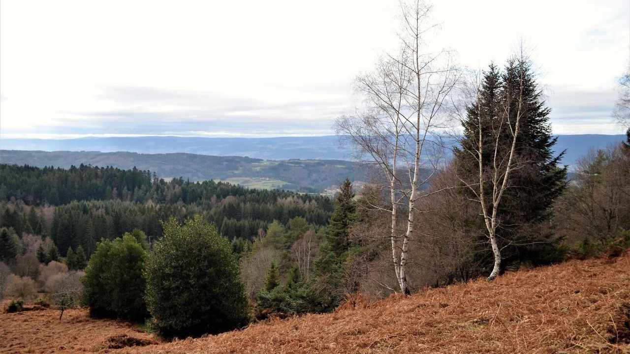 Photo of Others in Saint-Romain