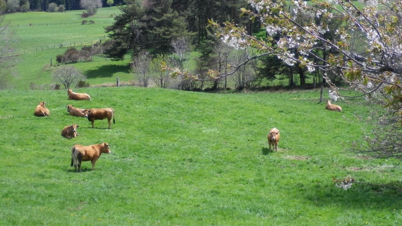 Photo of Others in Saint-Romain