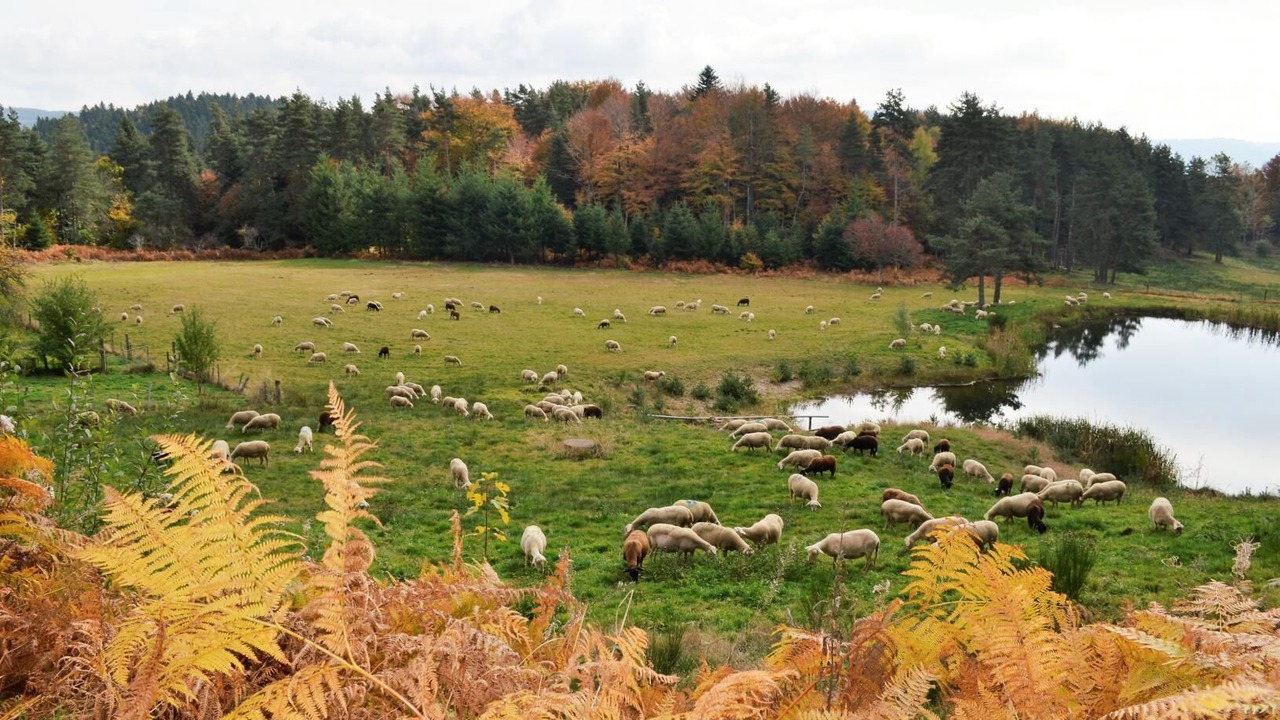Photo of Others in Saint-Romain