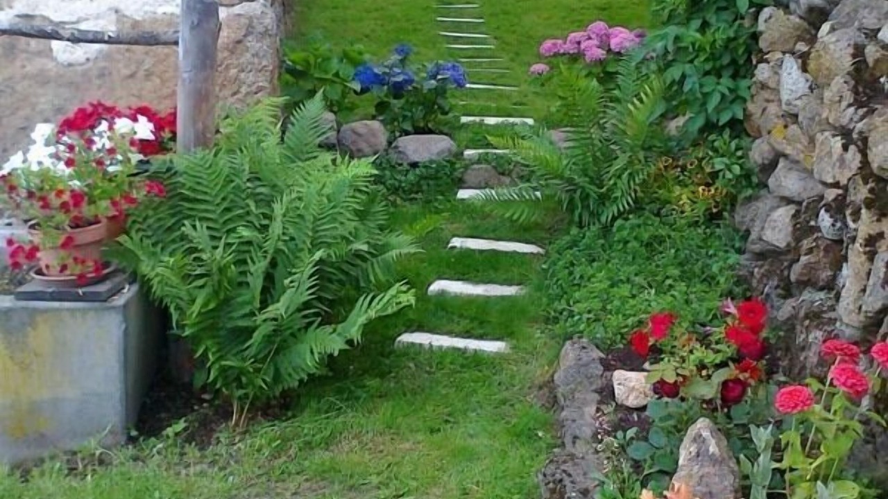 Photo of Outdoor in Saint-Romain