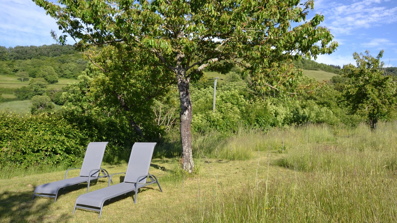 Photo of Outdoor in Bourgvilain
