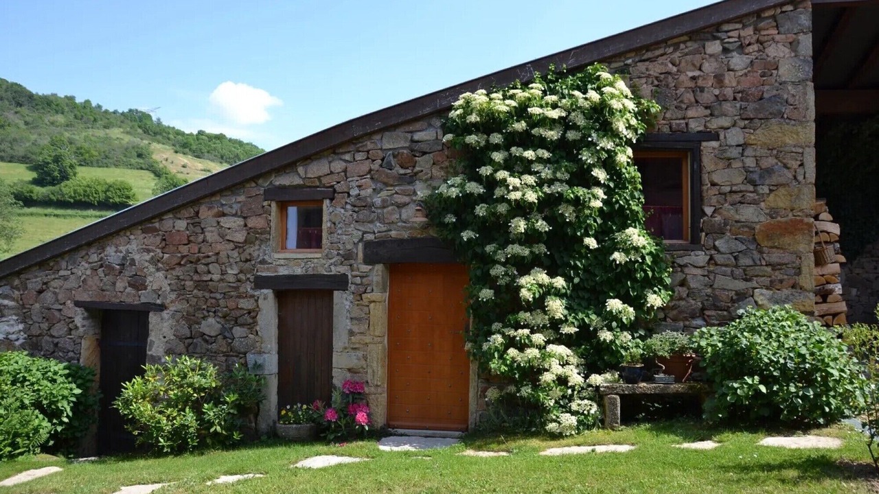 Photo of Outdoor in Bourgvilain