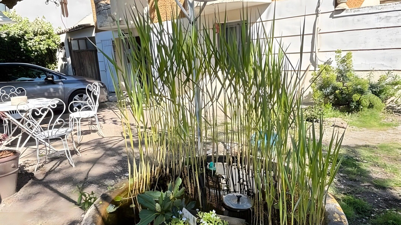 Photo of Outdoor in Valreas