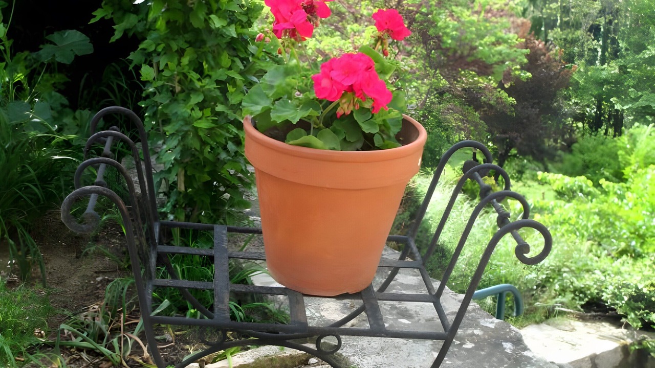 Photo of Outdoor in Saint-Julien-Labrousse