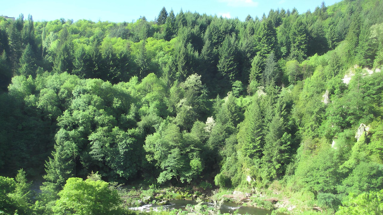 Photo of Others in Saint-Julien-Labrousse