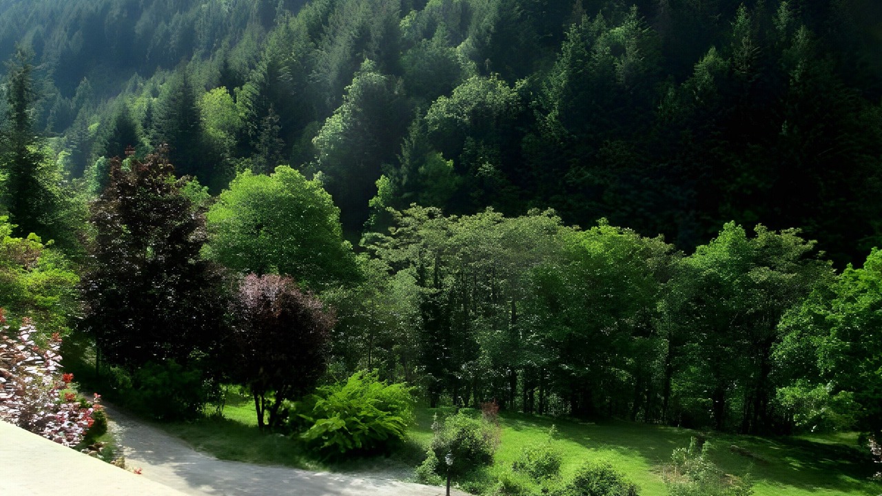 Photo of Outdoor in Saint-Julien-Labrousse