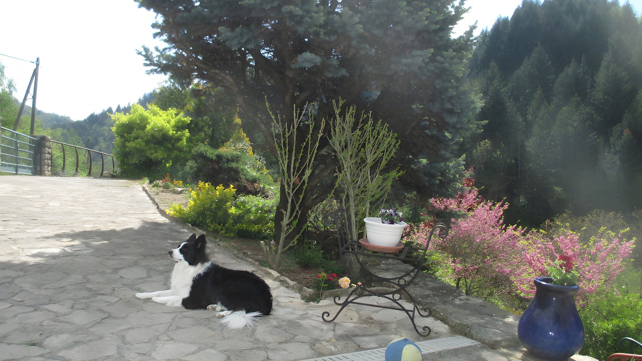 Photo of Outdoor in Saint-Julien-Labrousse