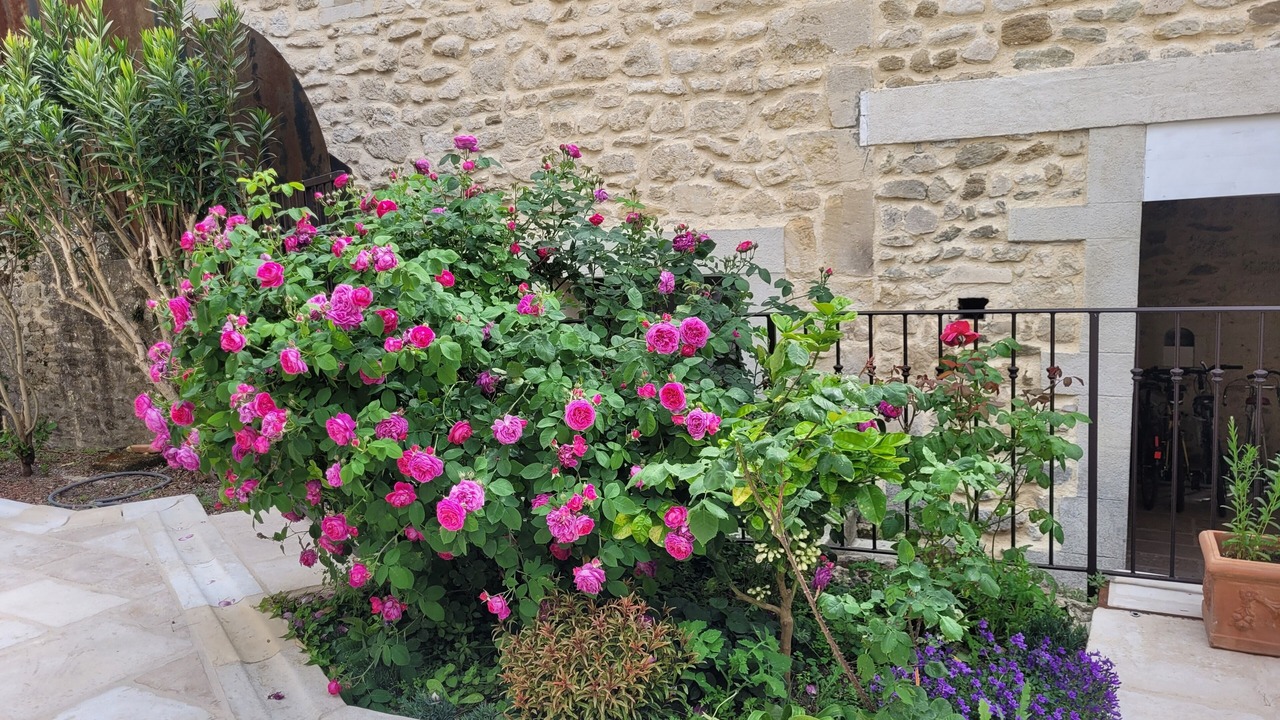 Photo of Outdoor in Solerieux