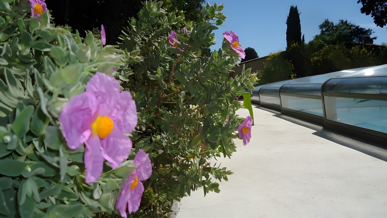 Photo of Outdoor in Montbrison-sur-Lez