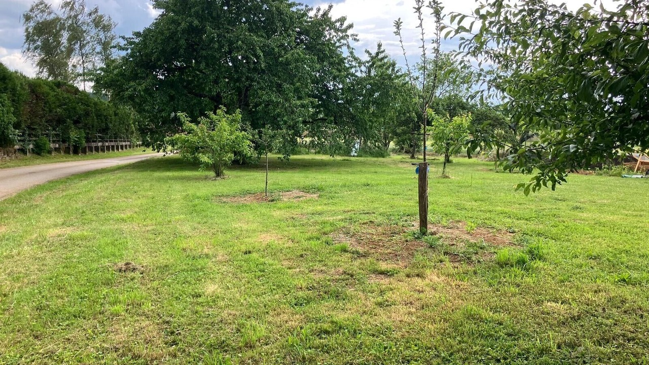 Photo of Outdoor in Molamboz