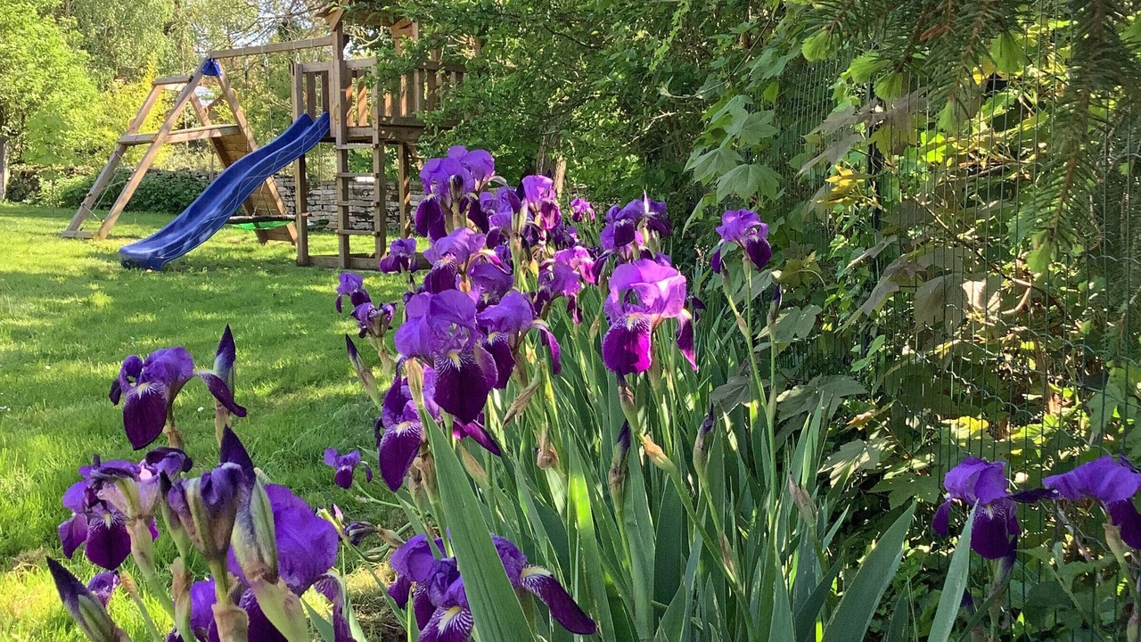 Photo of Outdoor in Maizieres