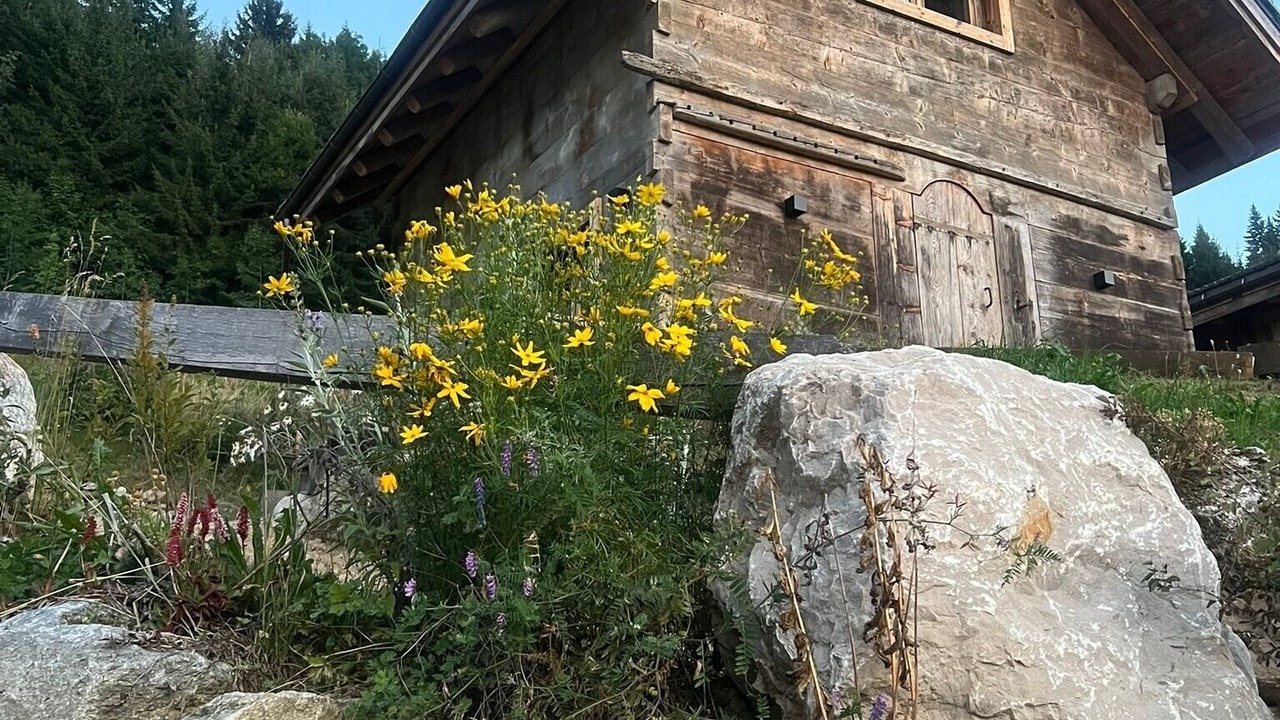Photo of Outdoor in Combloux