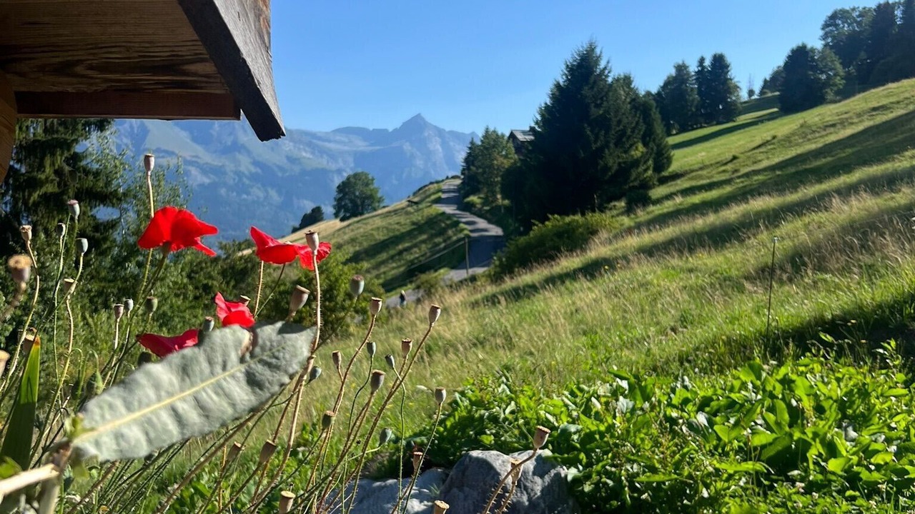 Photo of Outdoor in Combloux
