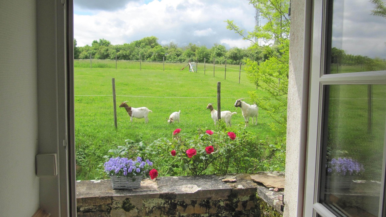 Photo of Others in Tournus