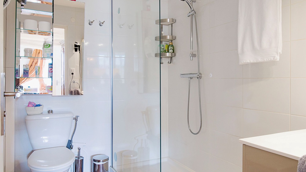 Photo of Bathroom in Menessaire