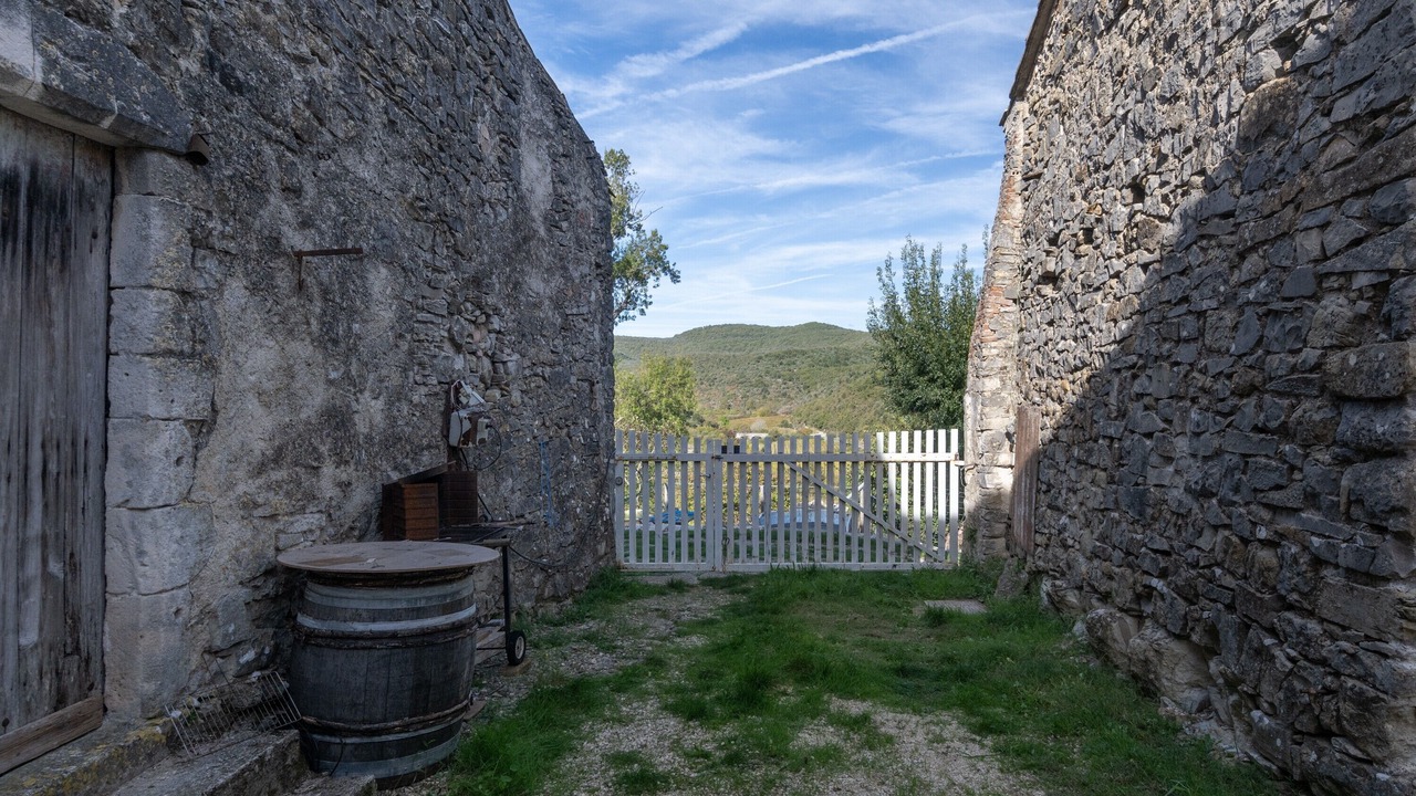 Photo of Outdoor in Gras