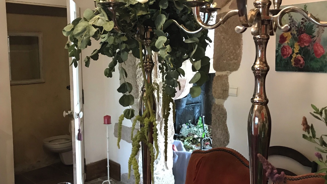 Photo of Others in Suin