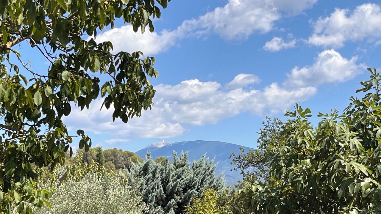 Photo of Others in Vaison-la-Romaine