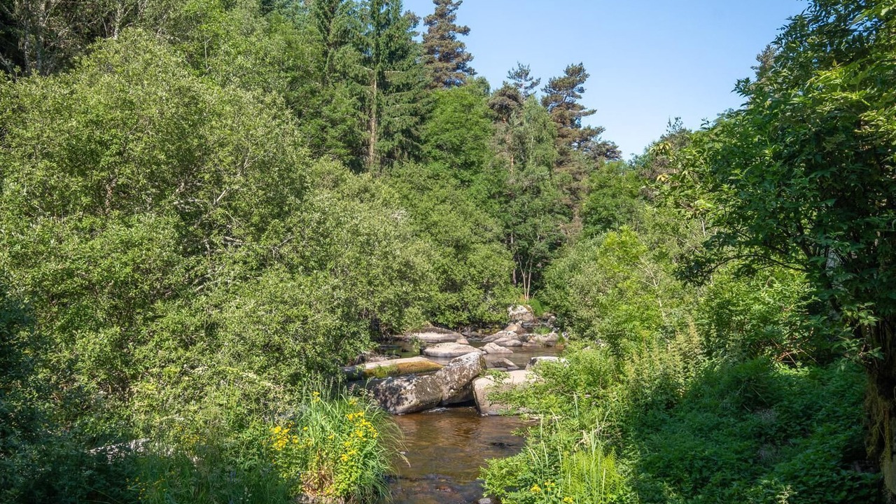 Photo of Others in Peyre-en-Aubrac