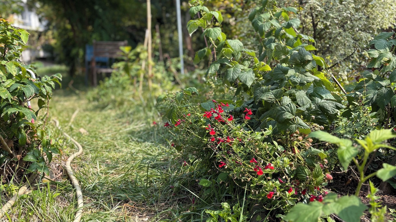 Photo of Outdoor in Palaiseau