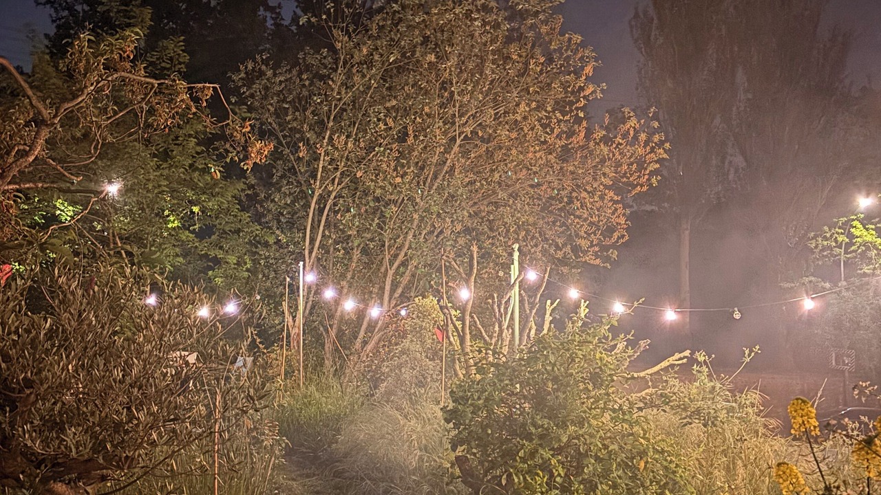 Photo of Outdoor in Palaiseau