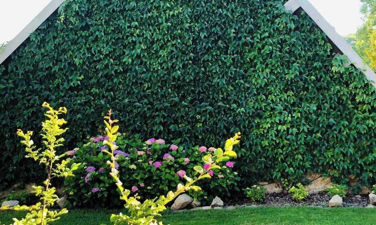 Photo of Outdoor in Saint-Prix