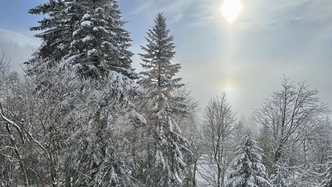 Photo of Others in Laveissiere