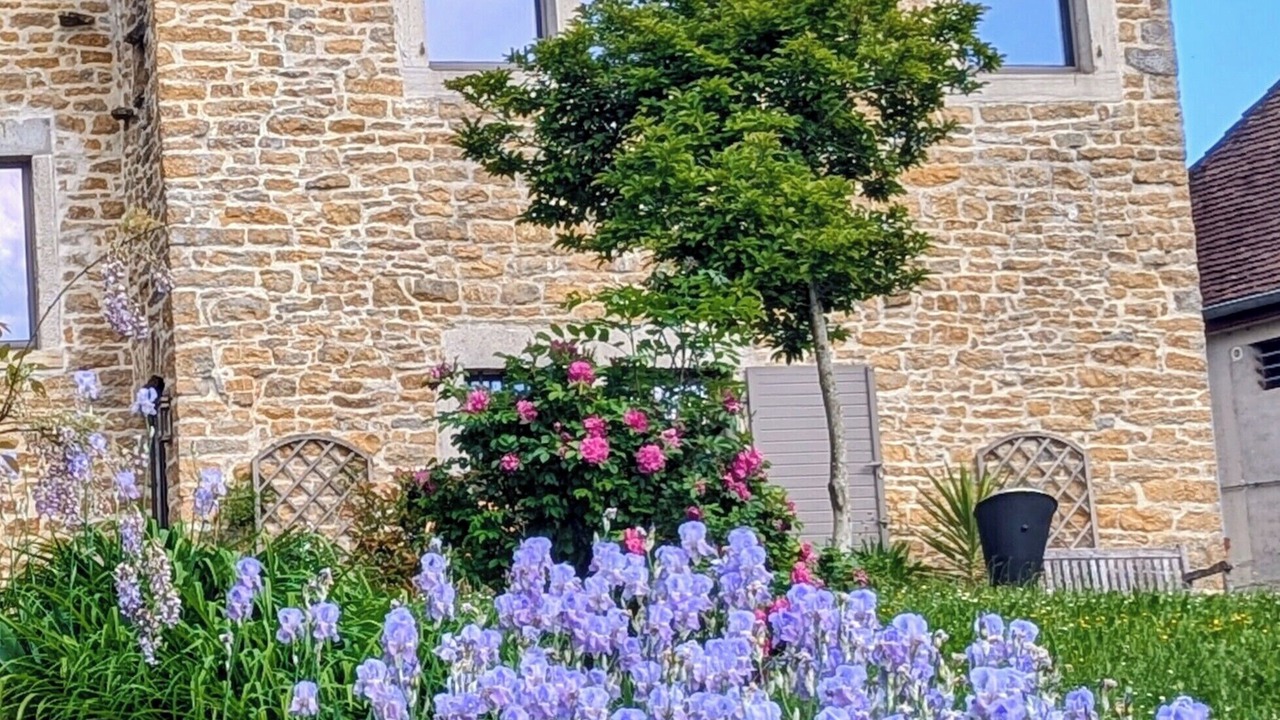 Photo of Outdoor in Montain