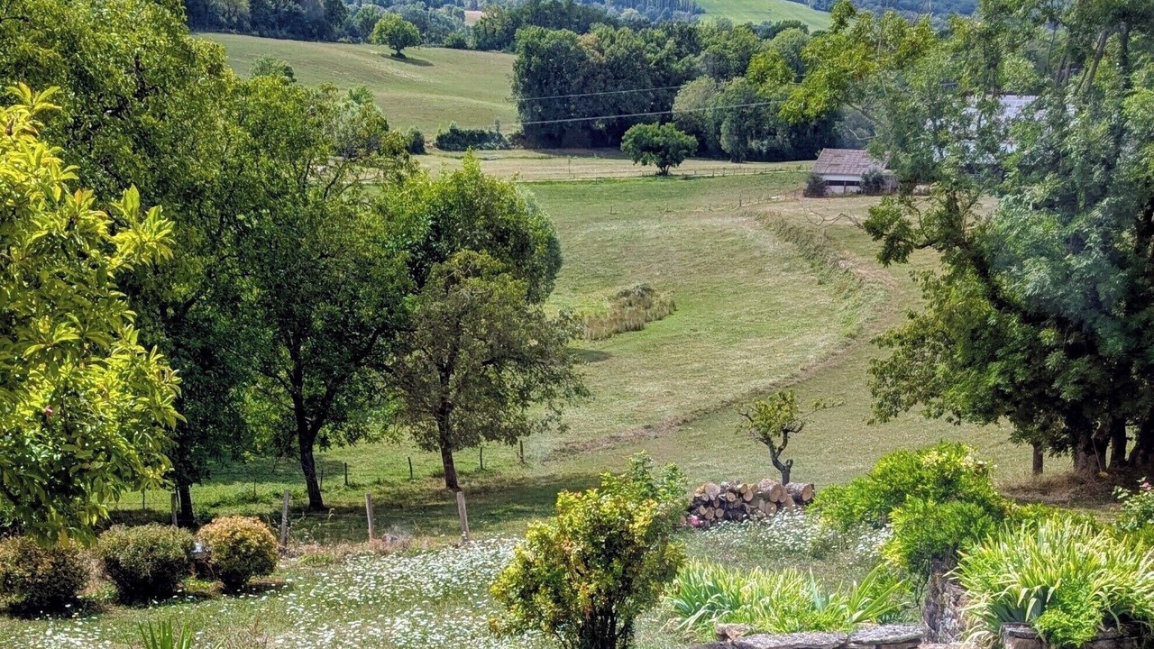 Photo of Outdoor in Montain