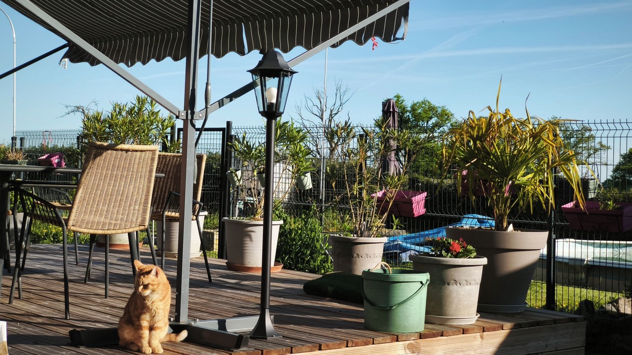 Photo of Outdoor in La Nocle-Maulaix