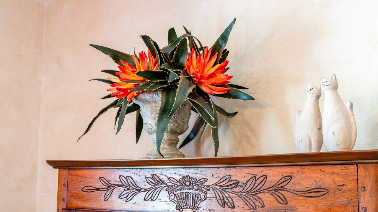 Photo of Others in Crillon-le-Brave