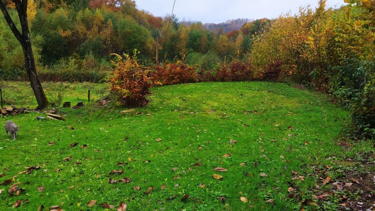 Photo of Outdoor in Le Val-d'Ajol
