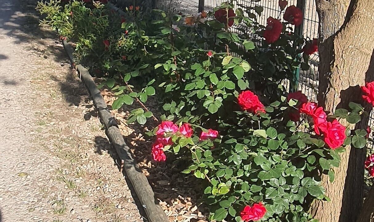 Photo of Outdoor in Bollene