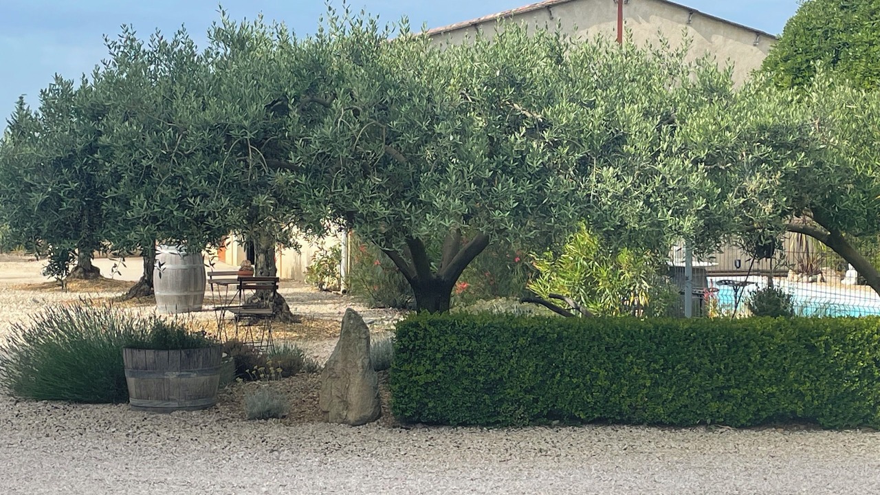 Photo of Outdoor in Caromb