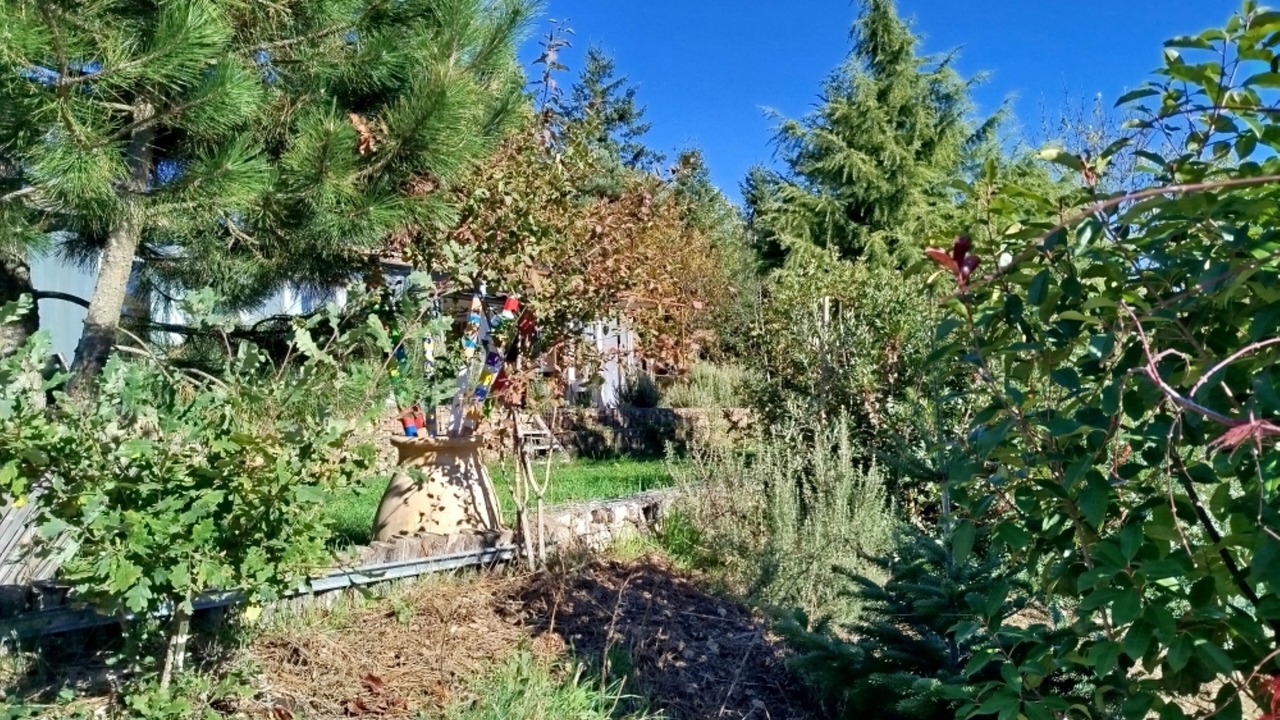 Photo of Outdoor in Saint-Felicien