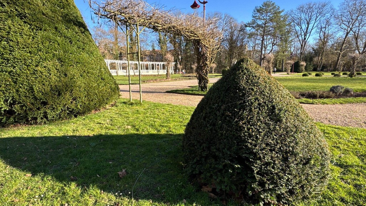 Photo of Others in Vittel